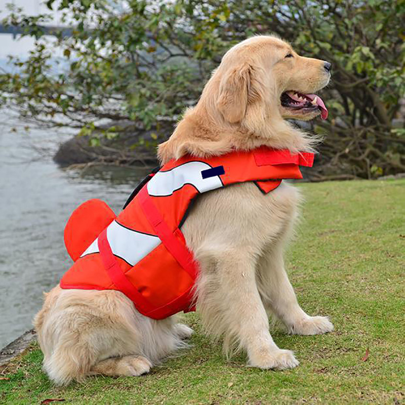 Looking for a life jacket for your Dog to keep them safe in the water
